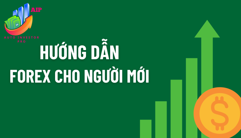 Forex Trading Guide for Beginners