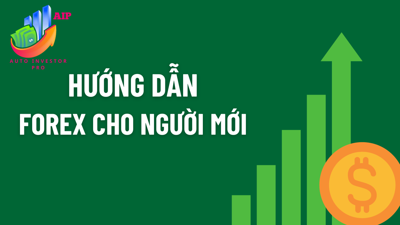 Forex Trading Guide for Beginners